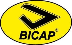 Logo Bicap